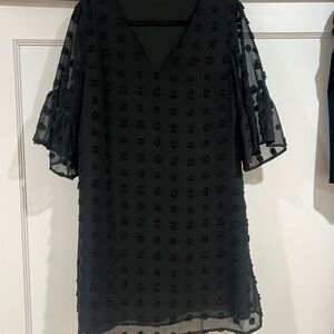 Elegant Black Sheer Dress